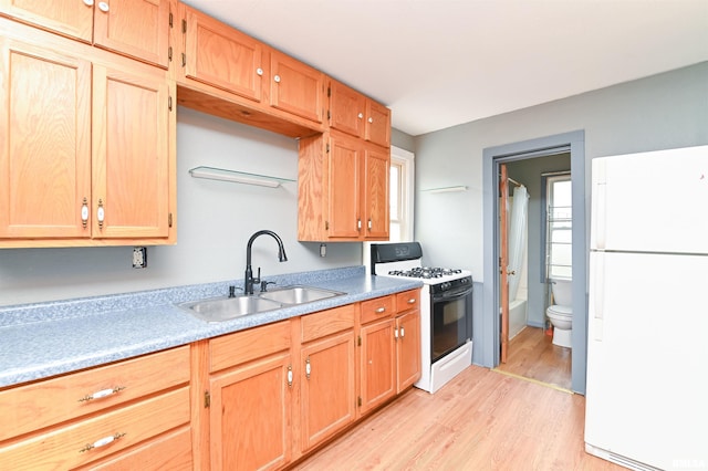 kitchen featuring a sink, light countertops, light wood-type flooring, freestanding refrigerator, and gas range