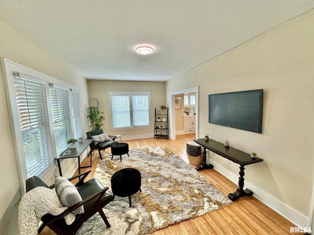 living room with light hardwood / wood-style floors