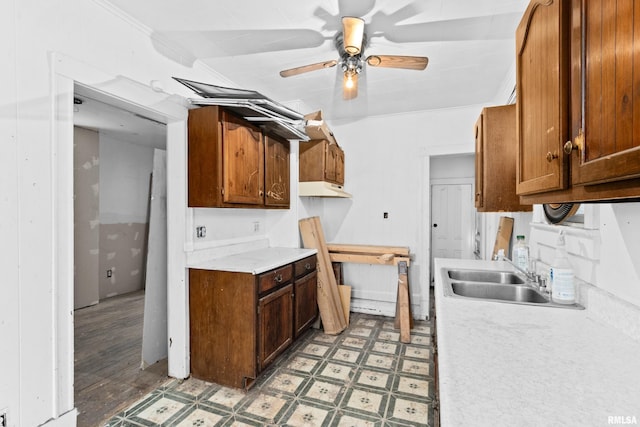 kitchen with crown molding, hardwood / wood-style floors, ceiling fan, and sink