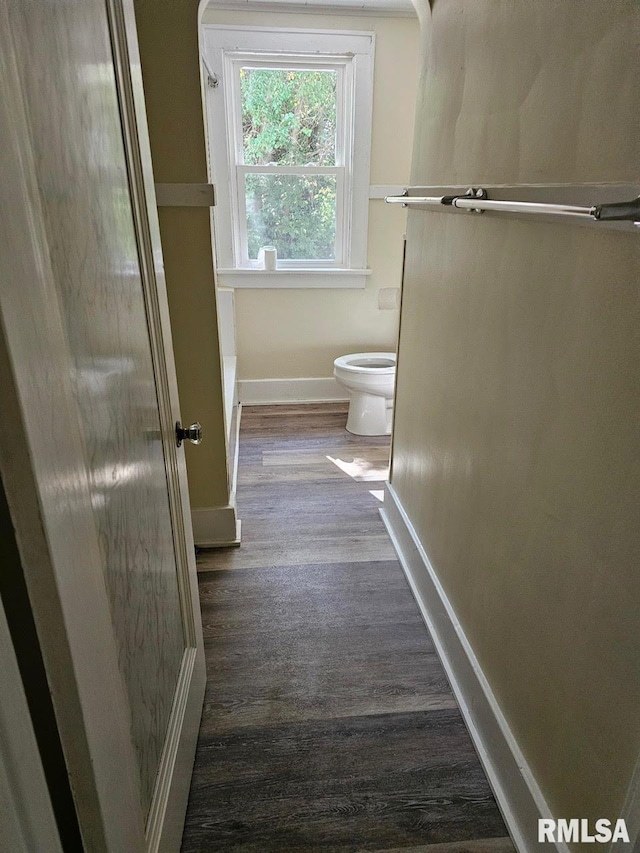 bathroom with wood-type flooring and toilet