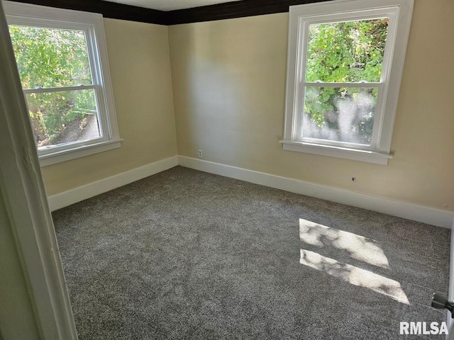 carpeted empty room with plenty of natural light