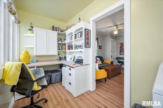 office with light hardwood / wood-style floors, ceiling fan, and crown molding