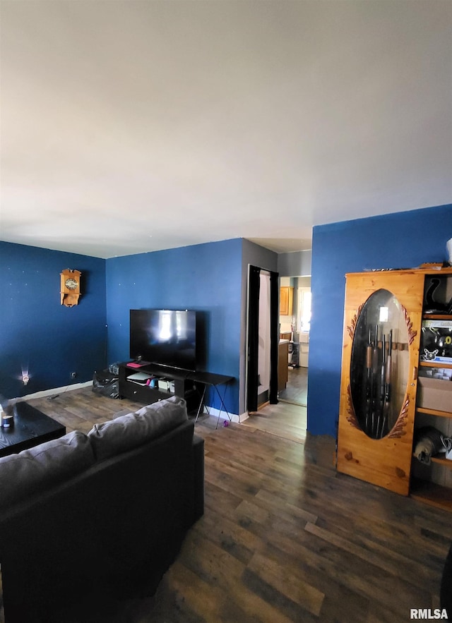 living room with wood-type flooring