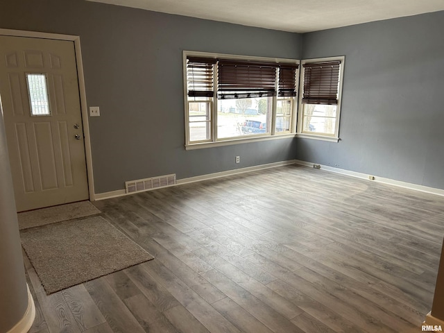 foyer featuring wood-type flooring and a healthy amount of sunlight