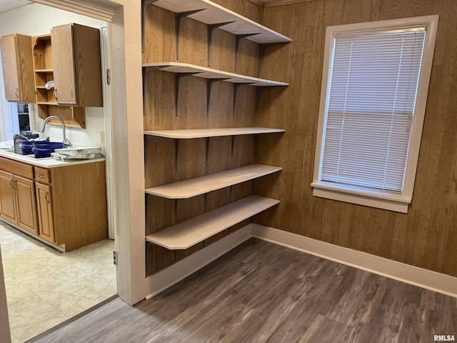 pantry with sink