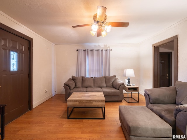 living room featuring ceiling fan, crown molding, and light hardwood / wood-style flooring