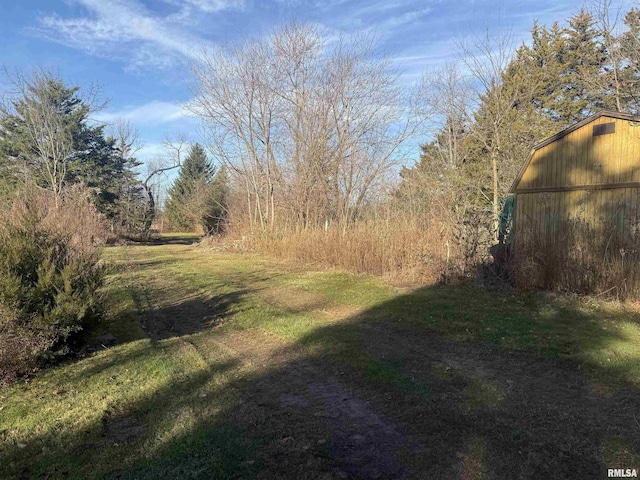 view of yard featuring an outdoor structure