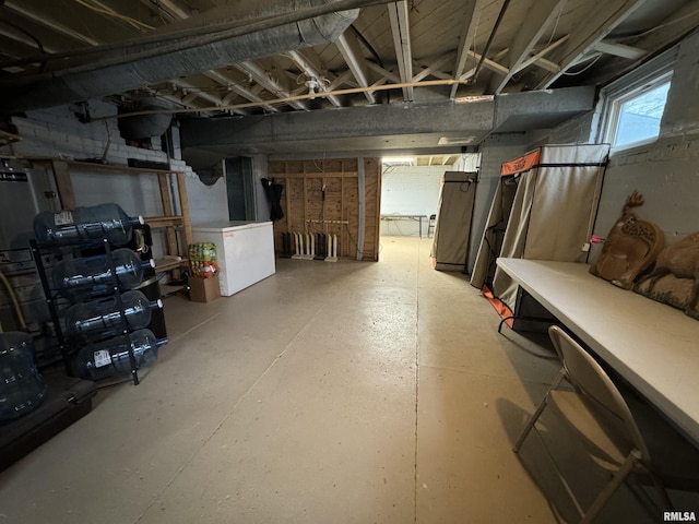 basement with white fridge