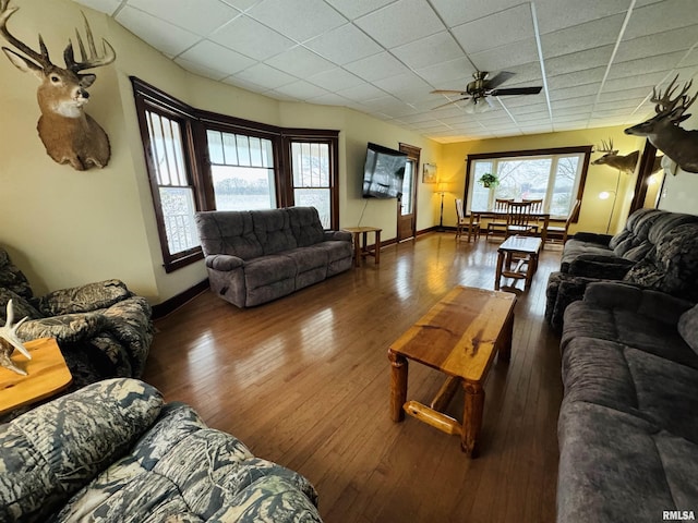 living room with a paneled ceiling, ceiling fan, and dark hardwood / wood-style floors