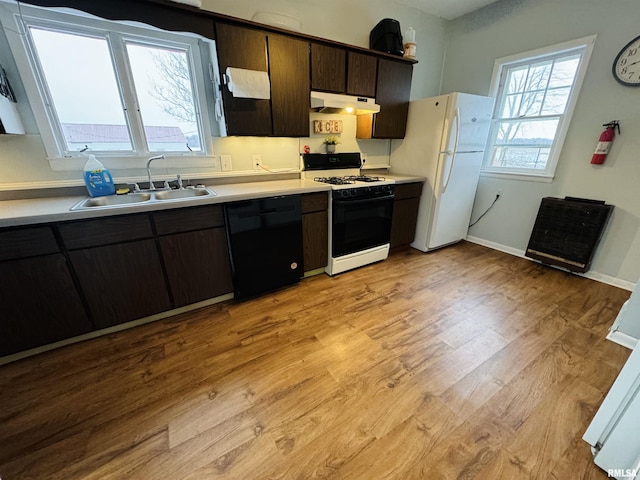 kitchen featuring light wood-type flooring, dark brown cabinets, white appliances, and sink