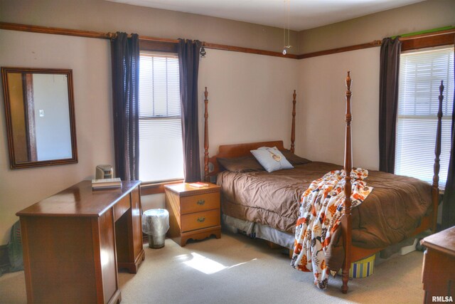 18046 E 1000th St, Good Hope, IL 61438 - photo 17