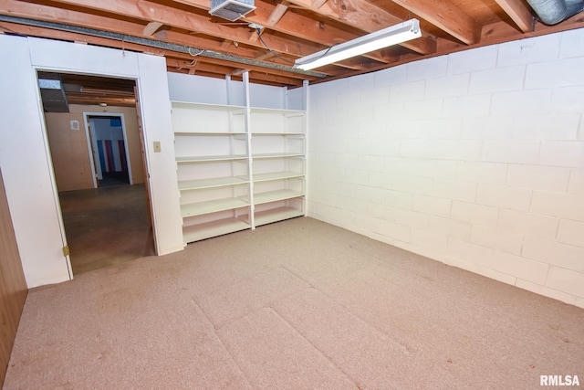 unfinished basement with visible vents