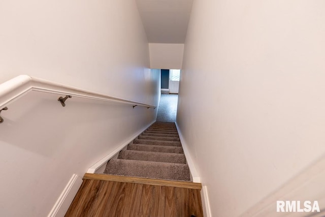 stairway featuring wood-type flooring