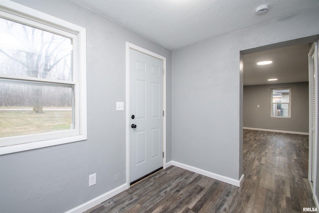 entryway featuring dark wood-type flooring