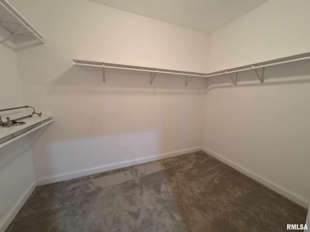 spacious closet with dark colored carpet