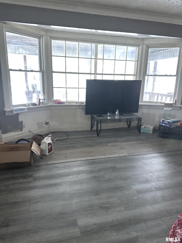 miscellaneous room with ornamental molding, plenty of natural light, hardwood / wood-style floors, and a textured ceiling