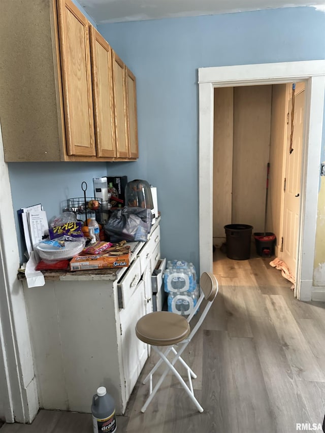 kitchen featuring light hardwood / wood-style floors