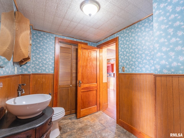 bathroom with wooden walls, vanity, and toilet