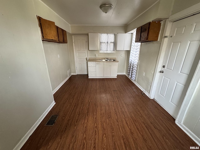 kitchen featuring sink and dark wood-type flooring