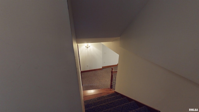 stairway featuring carpet flooring