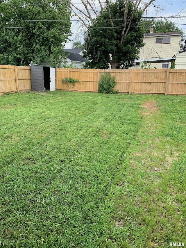 view of yard with a shed