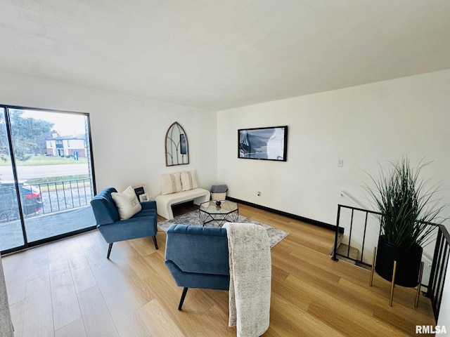 living room with light hardwood / wood-style floors