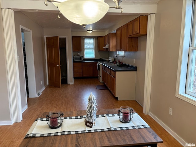 kitchen with stainless steel range oven and wood-type flooring