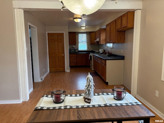 kitchen featuring dark hardwood / wood-style flooring and stainless steel stove