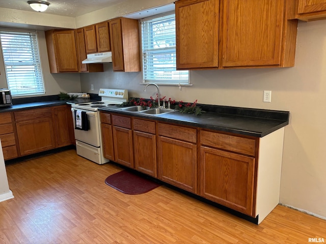 kitchen with electric stove, a wealth of natural light, sink, and light wood-type flooring