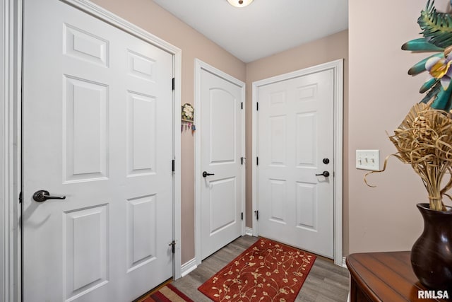 entryway with wood-type flooring