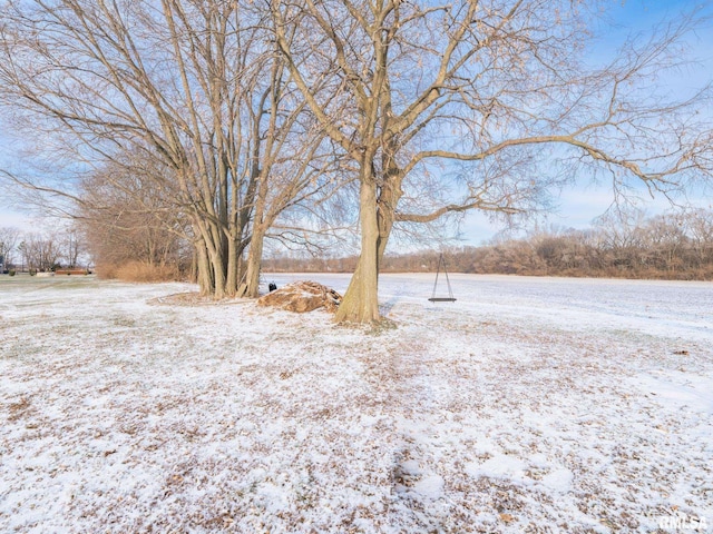 view of snowy yard