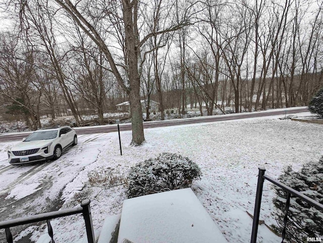 view of yard layered in snow