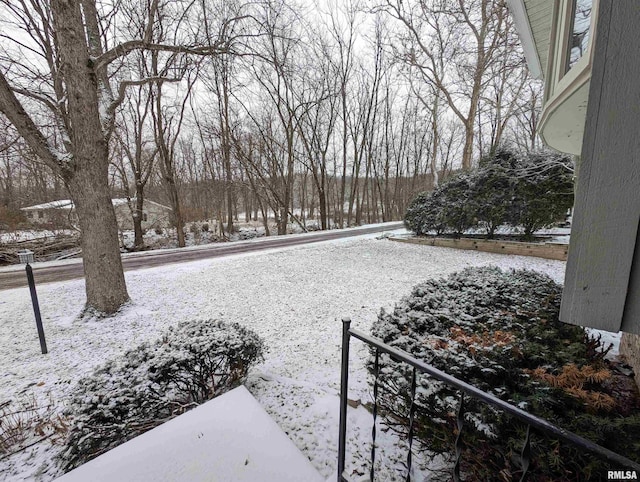 view of snowy yard