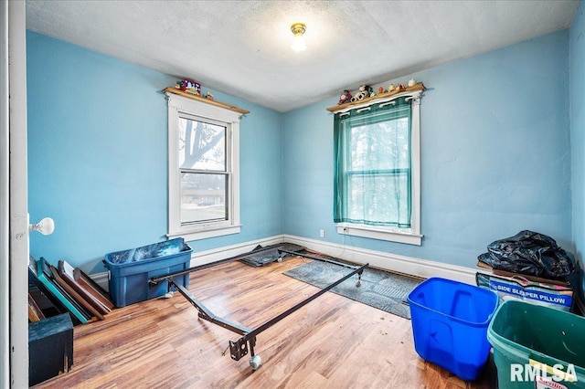 miscellaneous room featuring hardwood / wood-style floors, a textured ceiling, and lofted ceiling