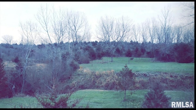 view of nature with a rural view