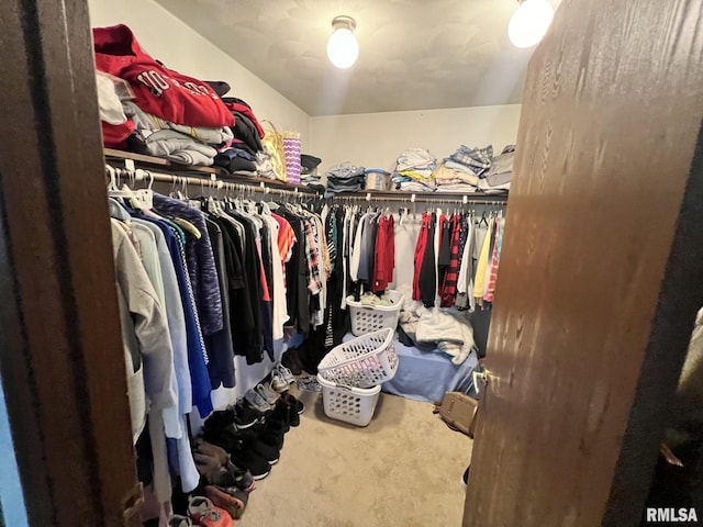 spacious closet featuring carpet