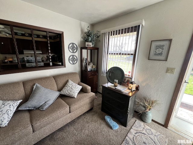 living room with carpet floors