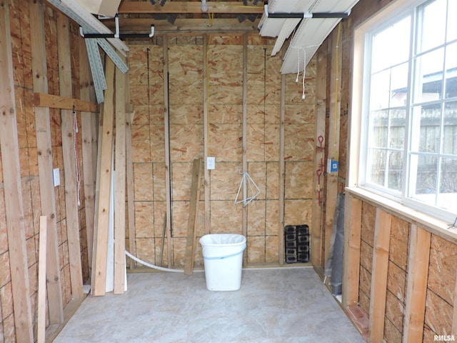 basement featuring a wealth of natural light