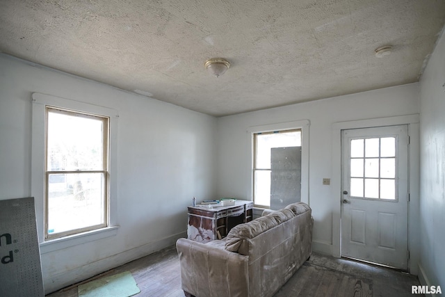 living room featuring a textured ceiling and a wealth of natural light