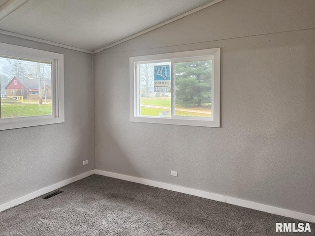 unfurnished room featuring a wealth of natural light, carpet, and vaulted ceiling