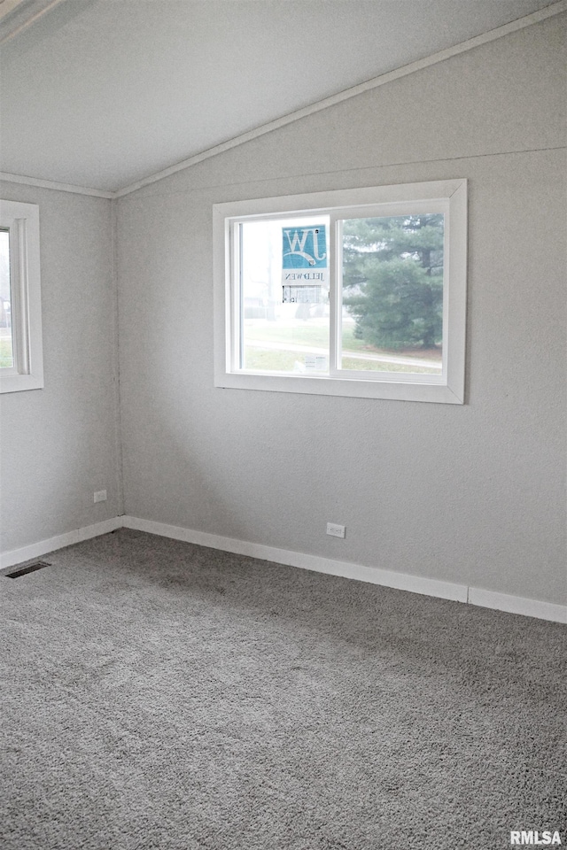 carpeted empty room featuring crown molding, plenty of natural light, and lofted ceiling