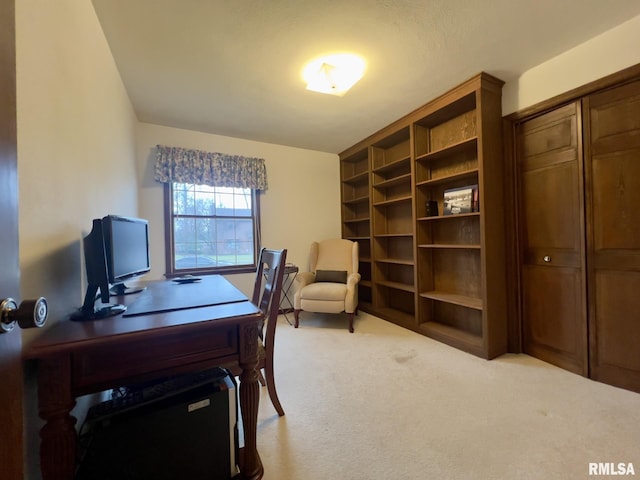 view of carpeted office space