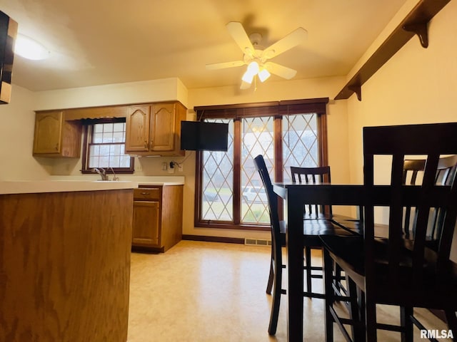 kitchen with ceiling fan and sink