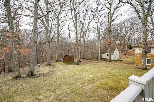 view of yard with a storage shed