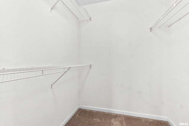 spacious closet with carpet floors