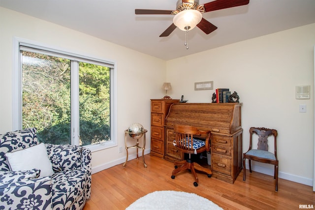 office featuring light wood-type flooring and ceiling fan