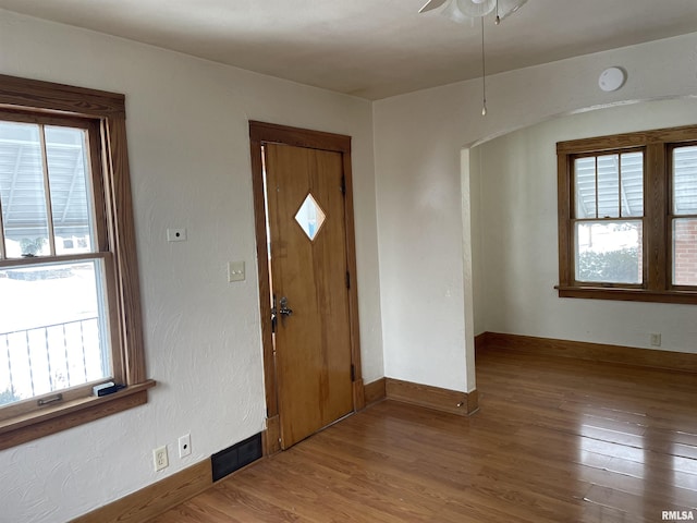 foyer featuring ceiling fan, wood-type flooring, and a wealth of natural light