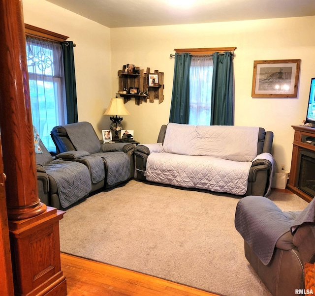 living room featuring hardwood / wood-style floors