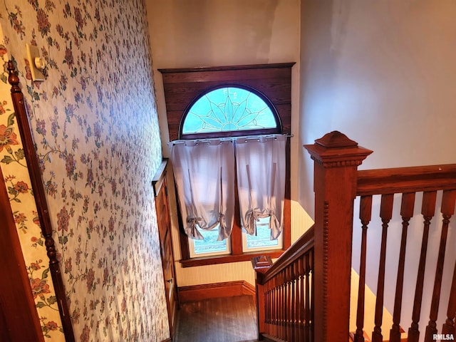 stairway featuring wood-type flooring