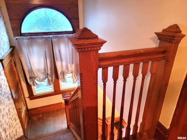 staircase featuring hardwood / wood-style floors